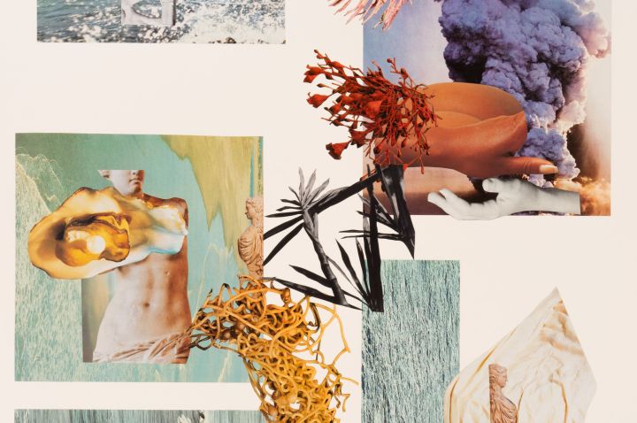 Collage featuring imagery of beaches, plants, water, smoke clouds, classical statues of women, body parts and plant materials