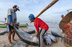 fishing industry