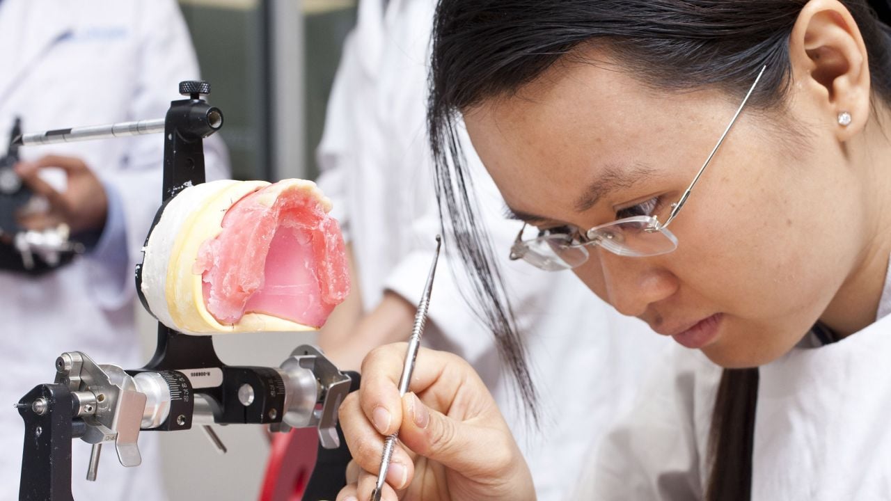 Bachelor of Dental Science (Honours), Courses and degrees, La Trobe