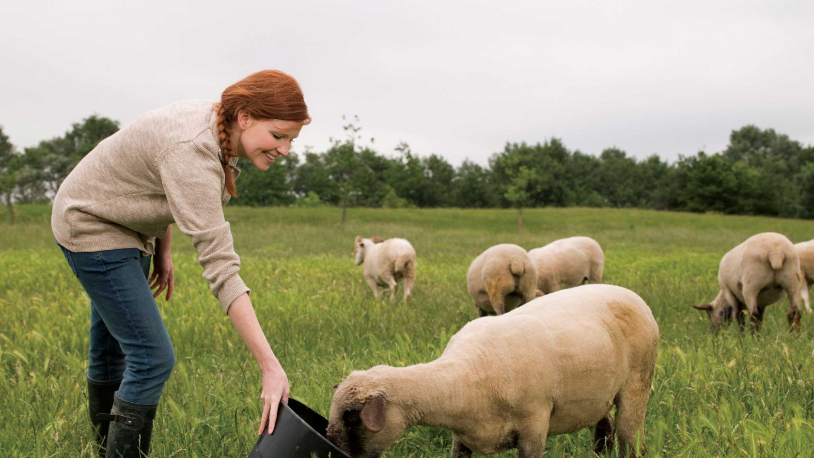 Bachelor Of Animal And Veterinary Biosciences Courses And Degrees La Trobe University