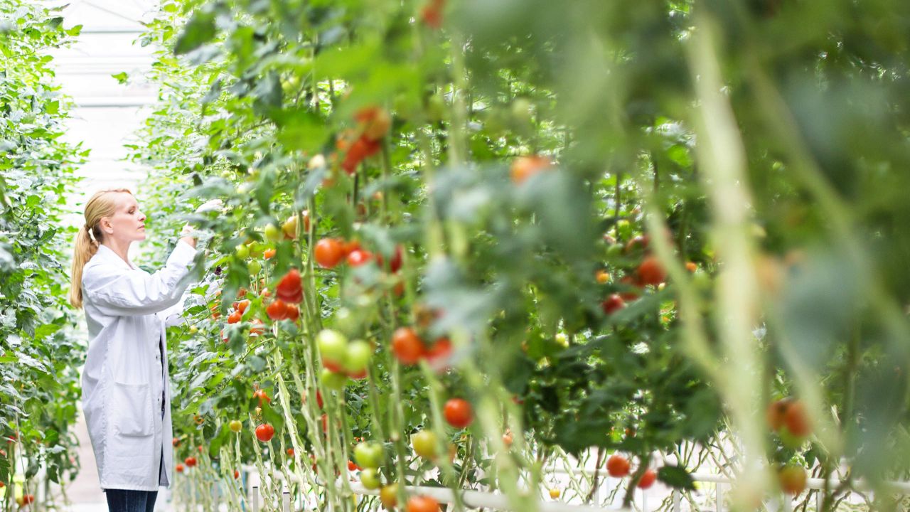 Bachelor Of Agriculture | La Trobe University