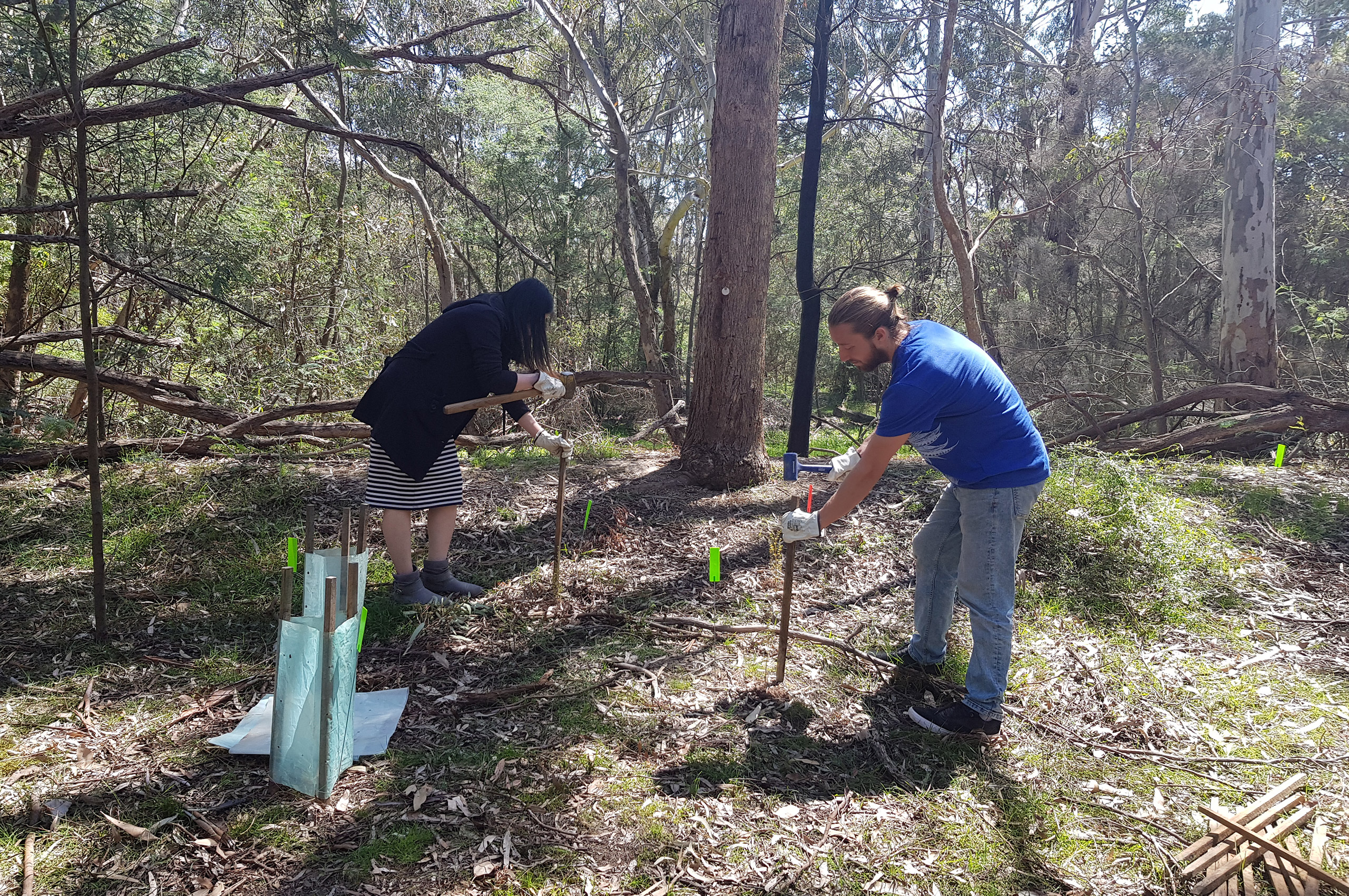 Volunteers working on site