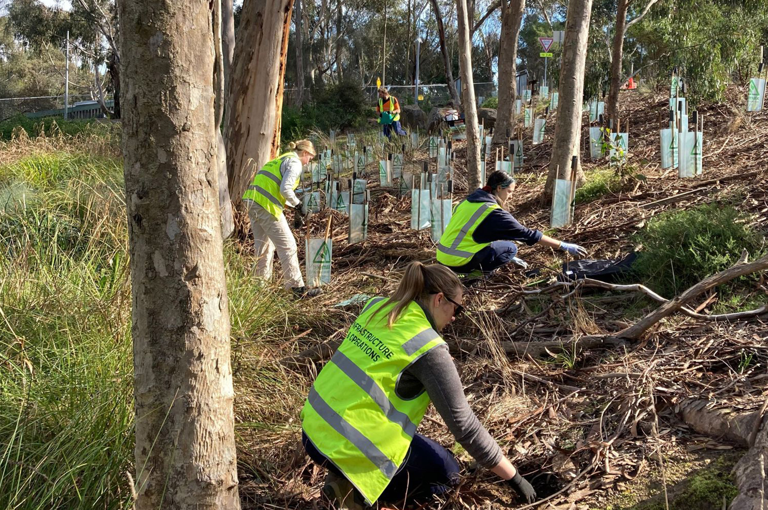 Volunteers working on site