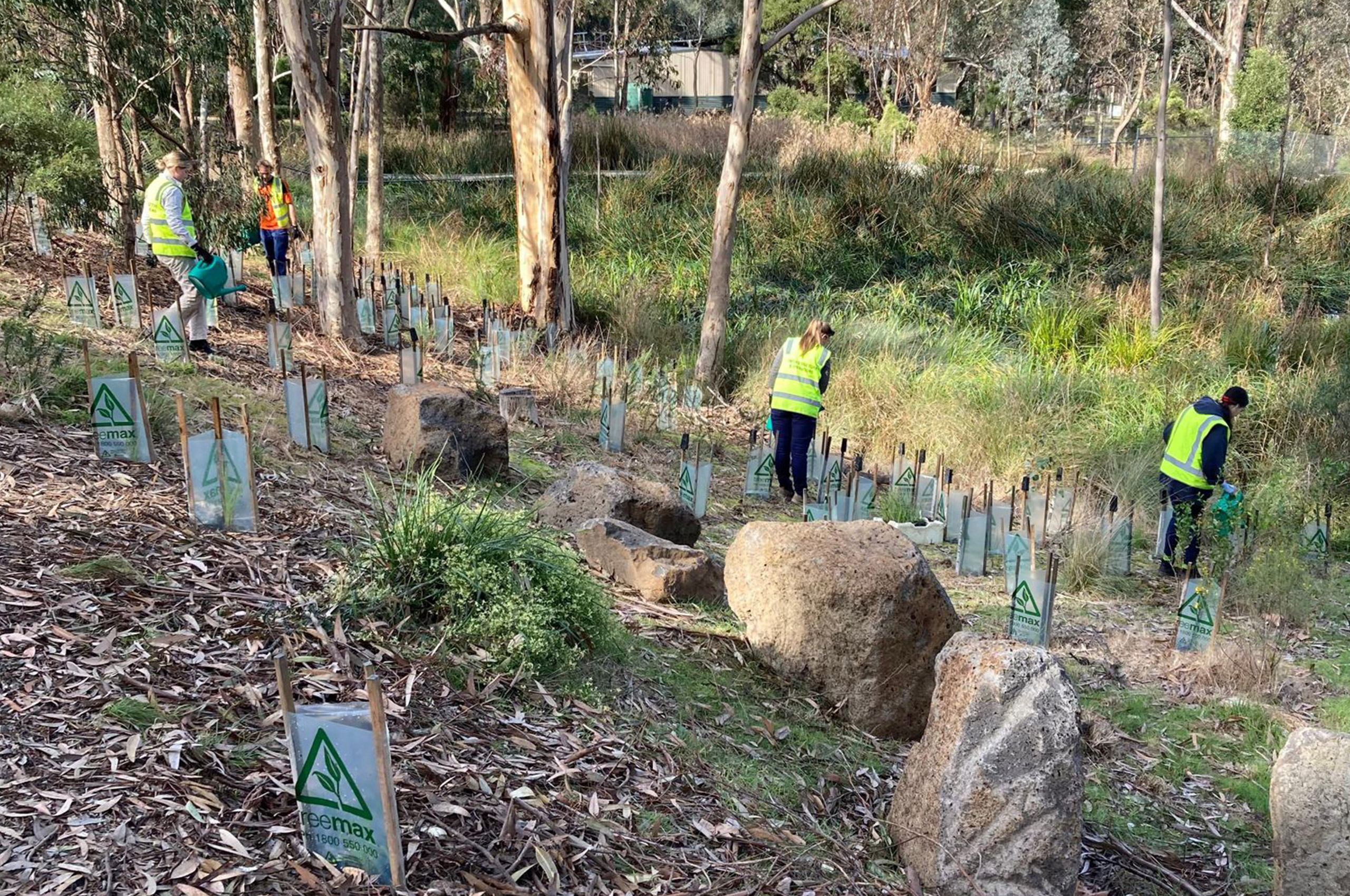 Volunteers working on site