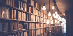 Books on library shelves lit by multiple light globes