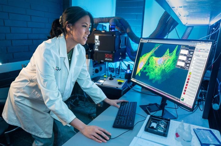 A researcher looking at a computer