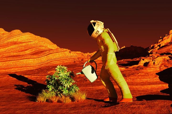 Image of an astronaut watering a plant on mars