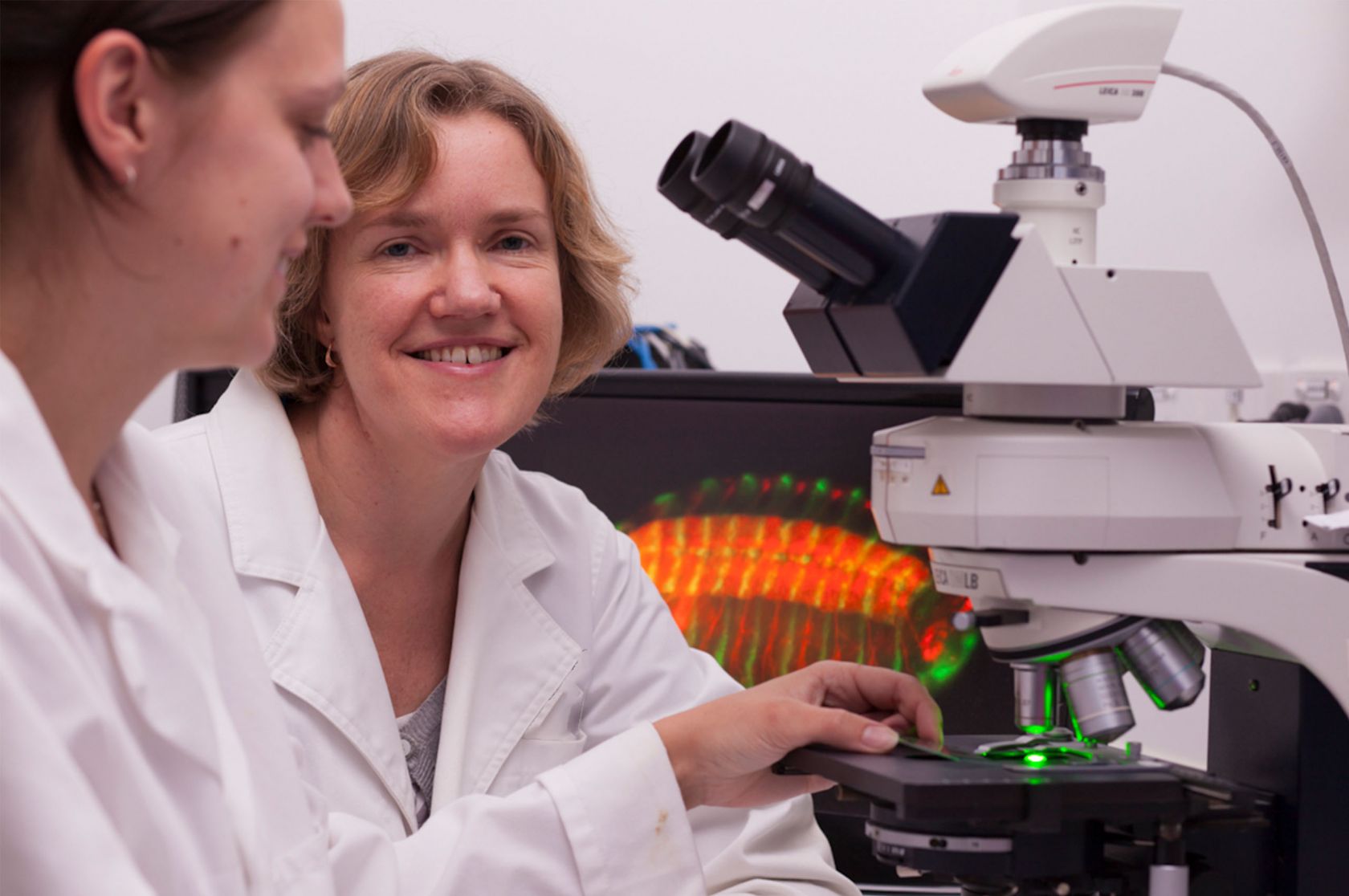 Grant awarded for MND research, News, La Trobe University