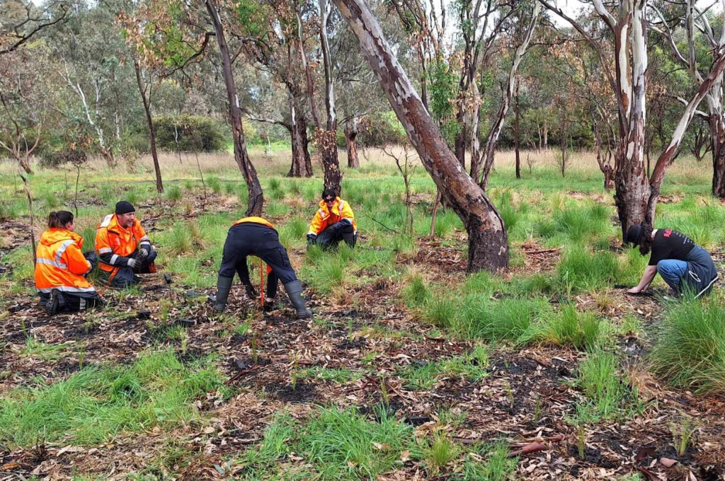 Sustainability, La Trobe University