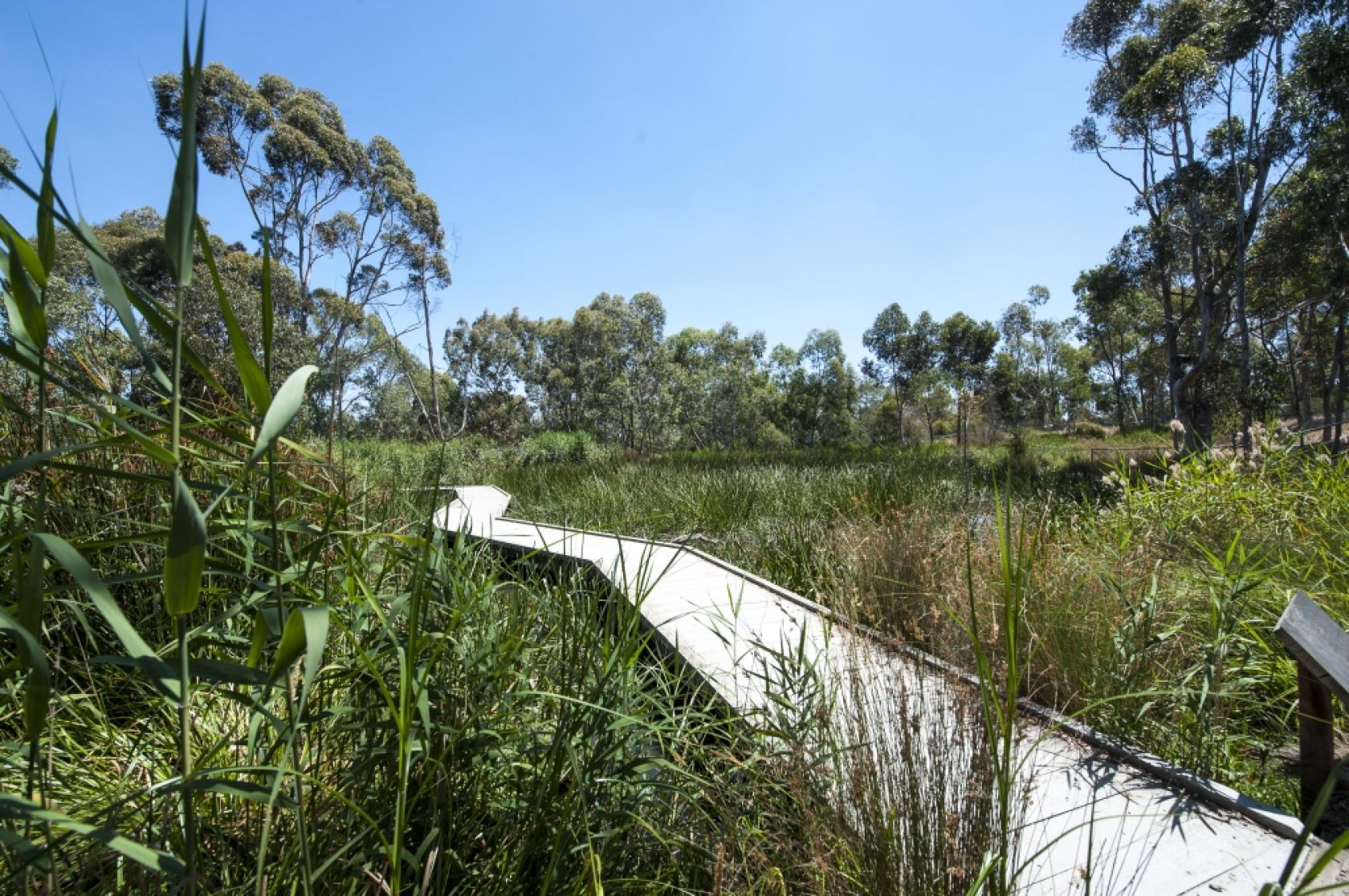 La Trobe launches first Green Bond, News, La Trobe University