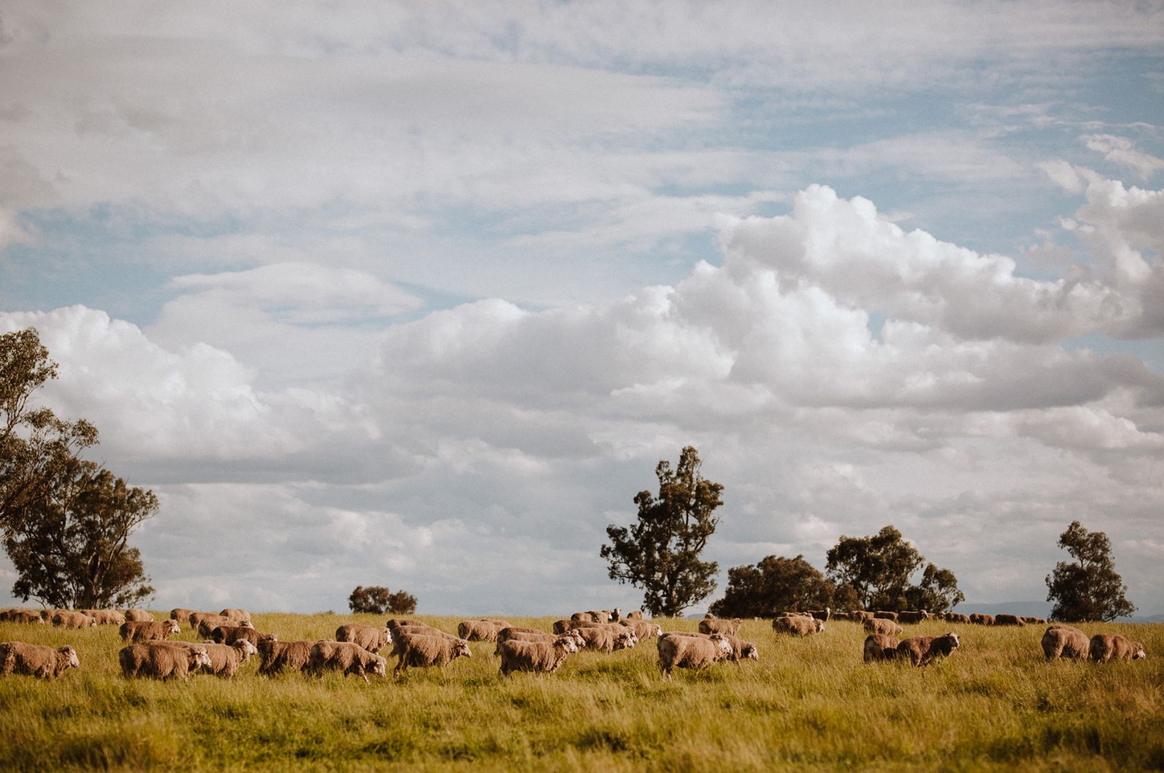 farm-scale-natural-capital-accounting-research-la-trobe-university