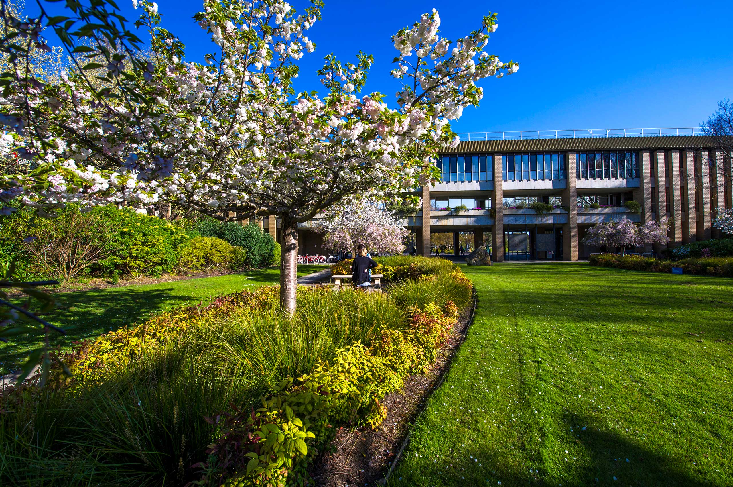 Mote at Bundoora Campus empty and full of leaves