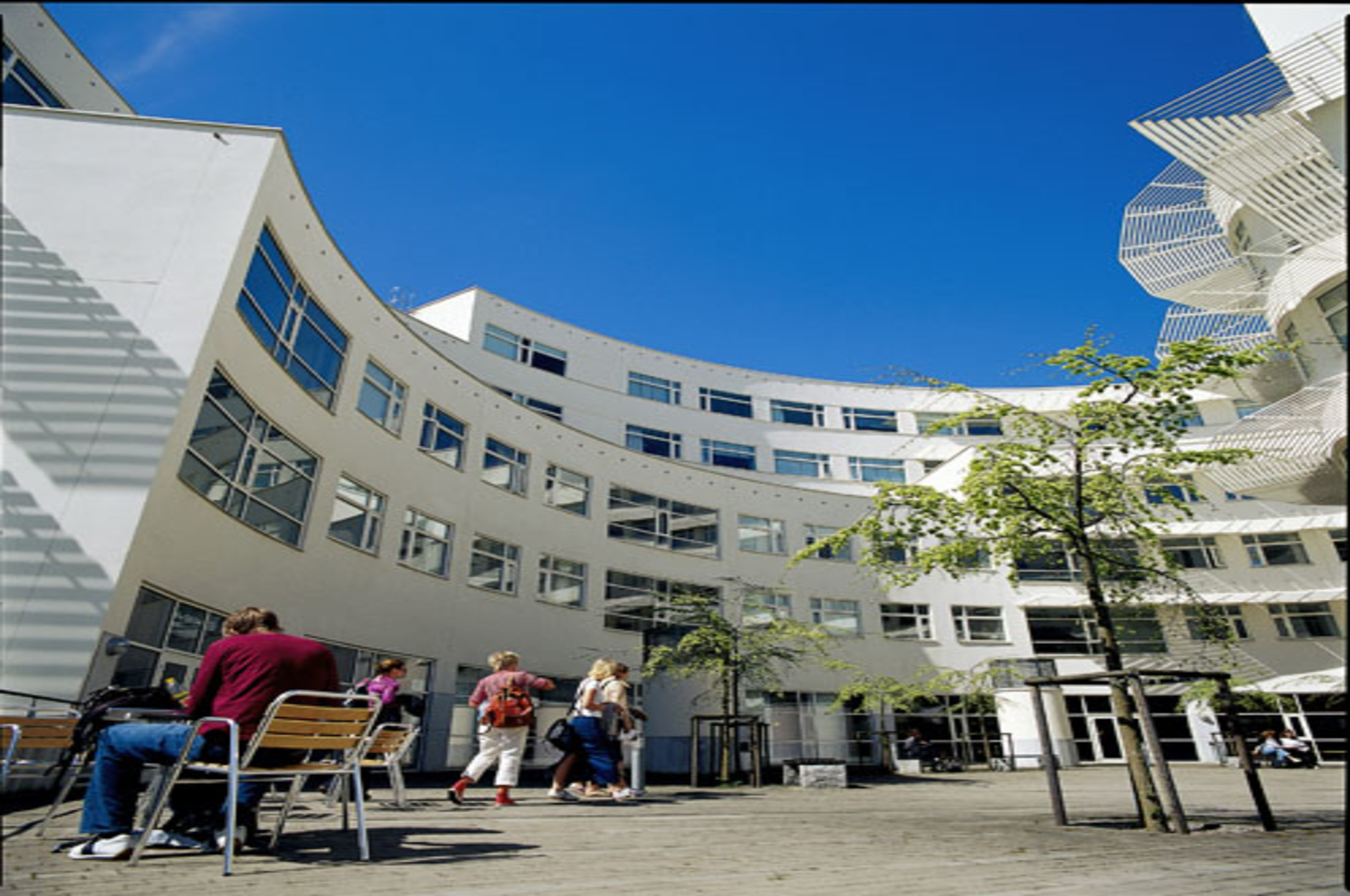 sweden top university for business
